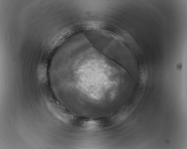 X0000115300312200911301519