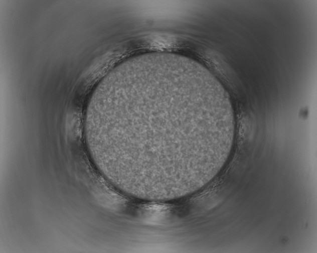 X0000115300313200911301519