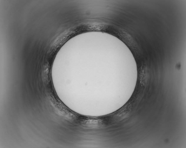 X0000115300314200911301519