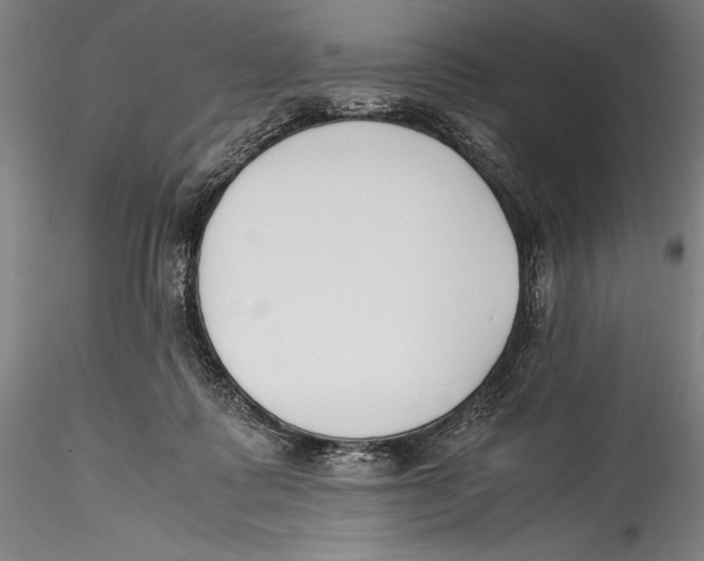 X0000115300315200911301519