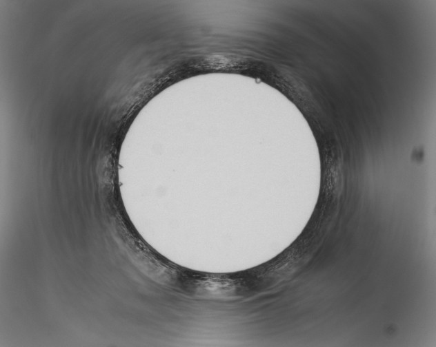 X0000115300317200911301519