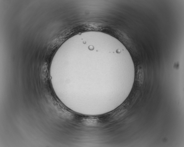 X0000115300318200911301519