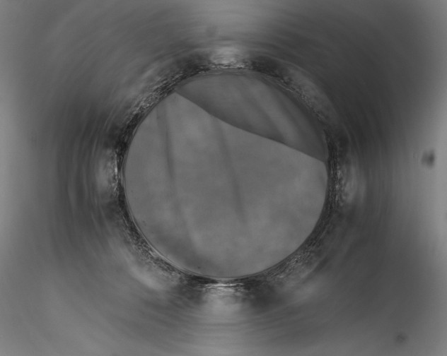 X0000115300320200911301519