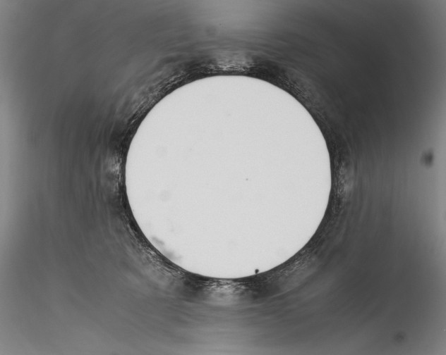 X0000115300321200911301519