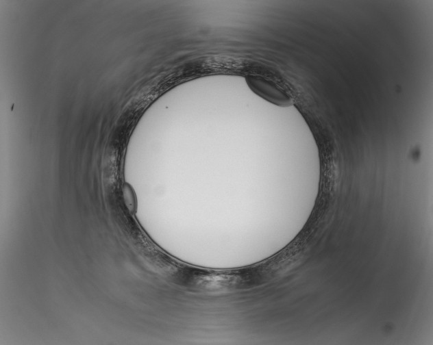 X0000115300323200911301519