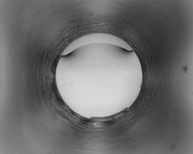 X0000115300324200911301519