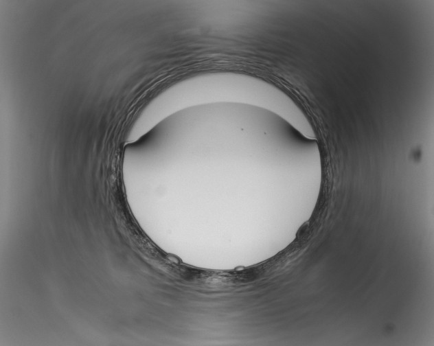 X0000115300325200911301519