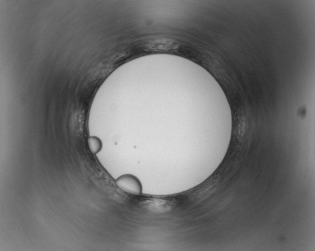 X0000115300326200911301519