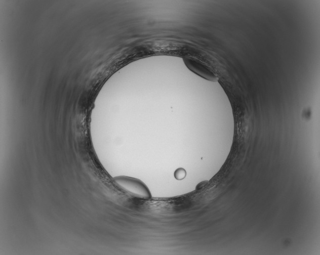 X0000115300327200911301519