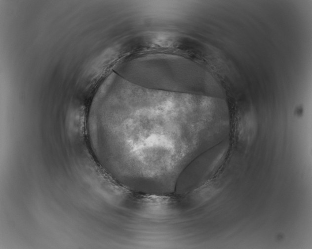 X0000115300328200911301519