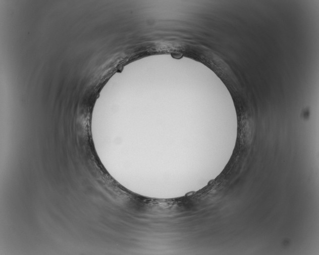 X0000115300329200911301519