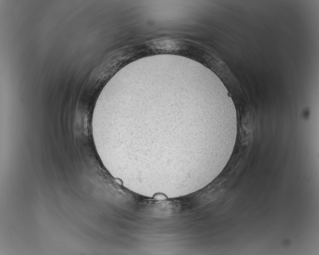 X0000115300330200911301519