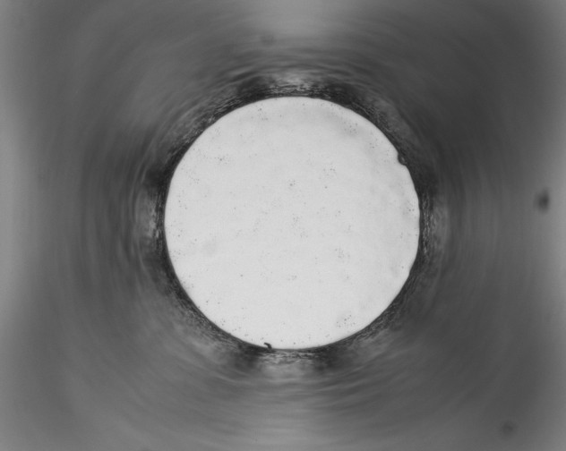 X0000115300331200911301519