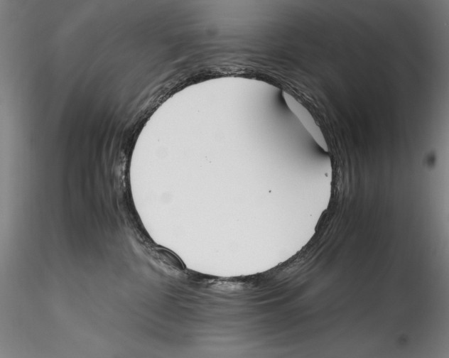 X0000115300332200911301519