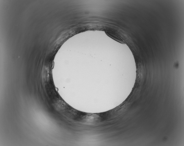 X0000115300333200911301519