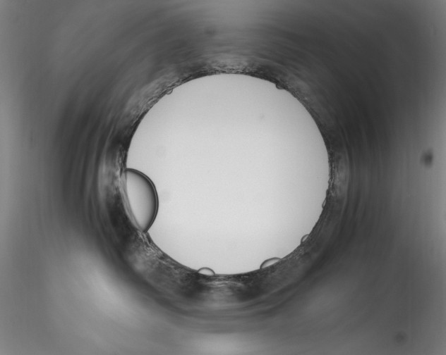 X0000115300334200911301519