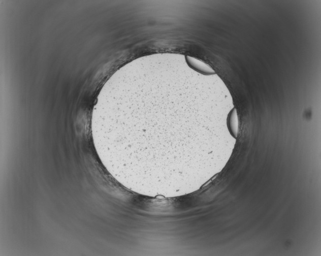 X0000115300335200911301519