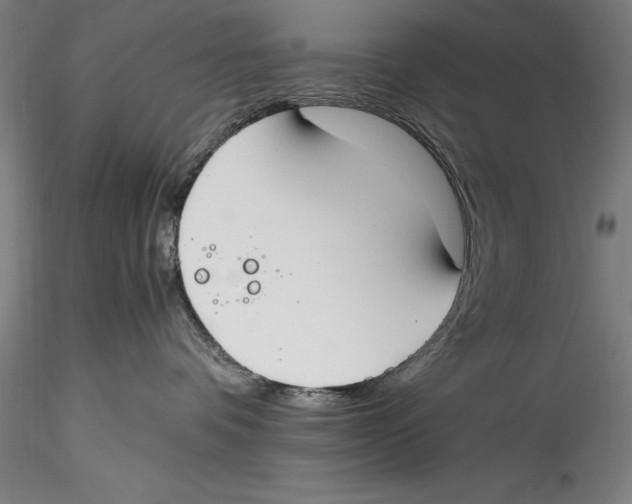 X0000115300336200911301519