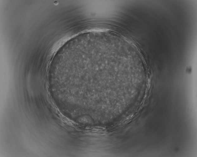 X0000115300337200911301518