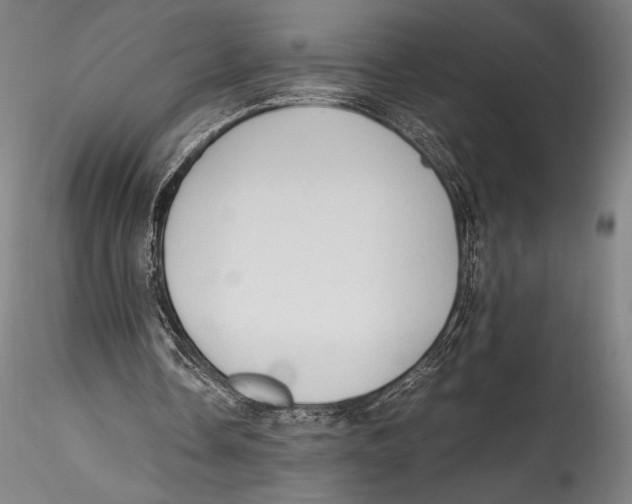 X0000115300338200911301518