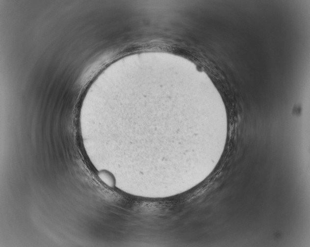 X0000115300341200911301518