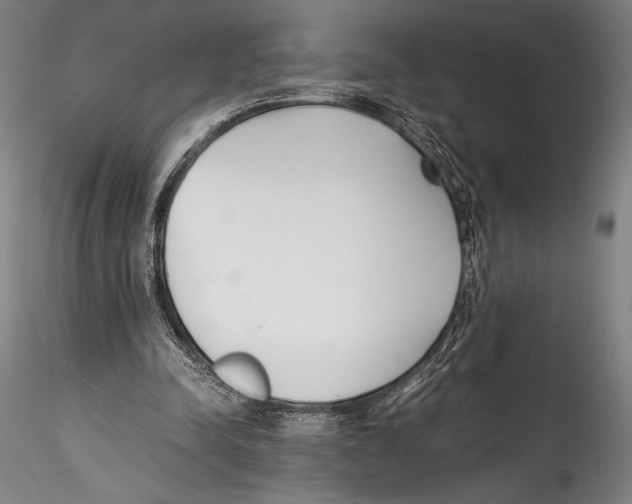 X0000115300342200911301518