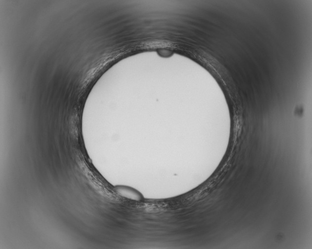 X0000115300345200911301518