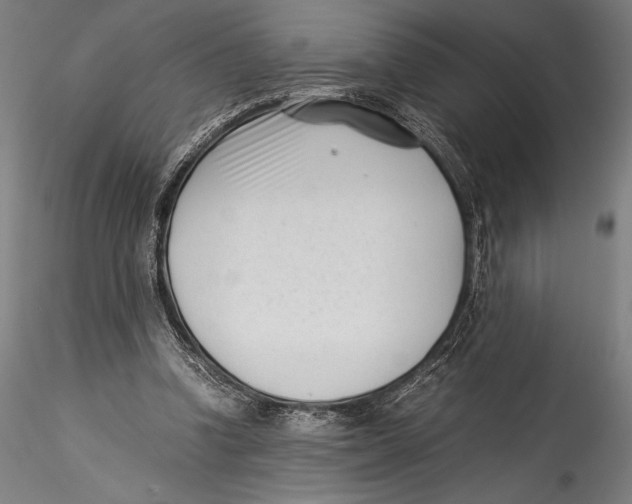 X0000115300346200911301518