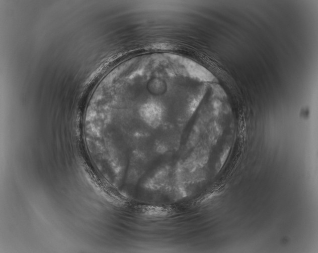 X0000115300347200911301518