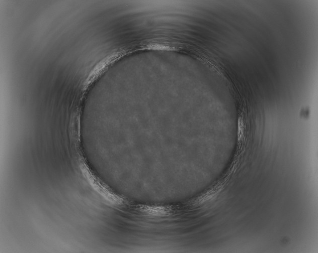 X0000115300349200911301518