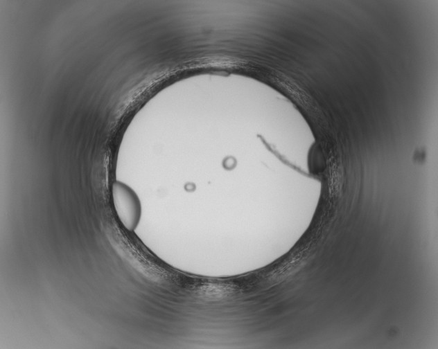 X0000115300350200911301518