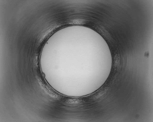 X0000115300351200911301518