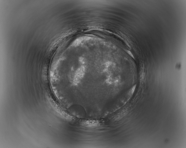 X0000115300353200911301518