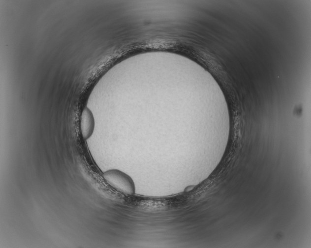 X0000115300354200911301518