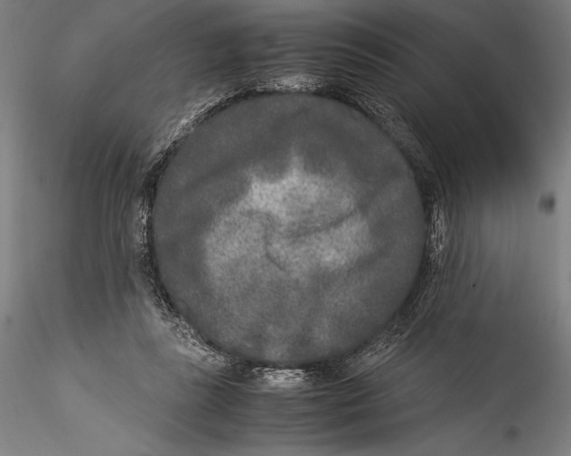 X0000115300355200911301518