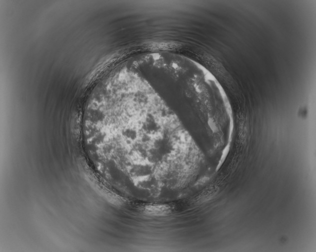 X0000115300357200911301518