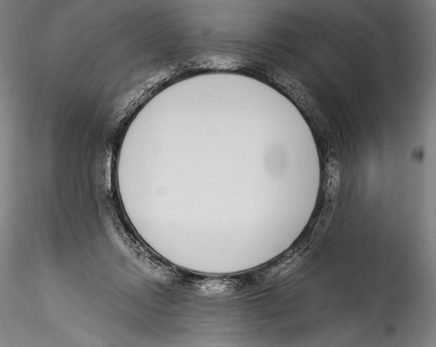 X0000115300358200911301518