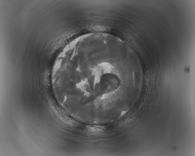 X0000115300359200911301518