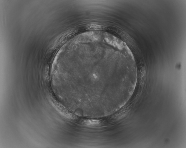 X0000115300361200911301518