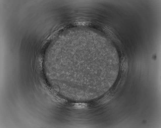 X0000115300363200911301518