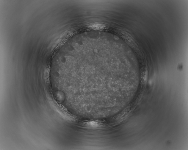 X0000115300365200911301518