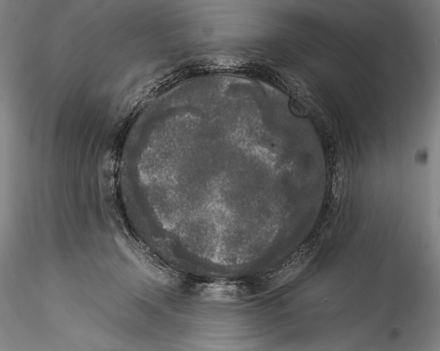 X0000115300366200911301518