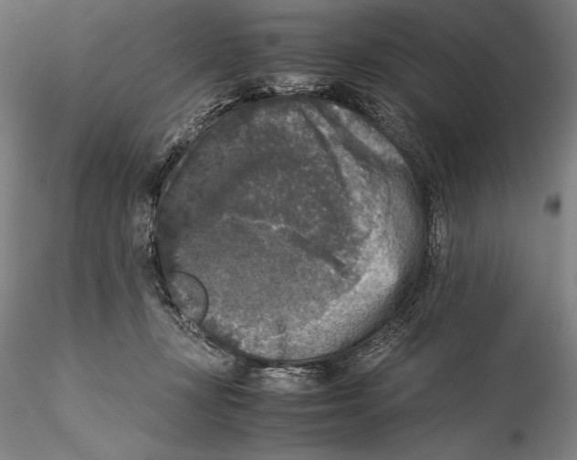 X0000115300367200911301519