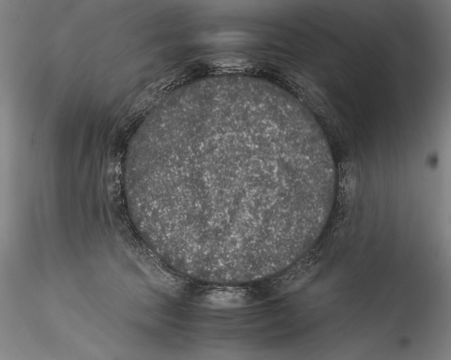 X0000115300369200911301519