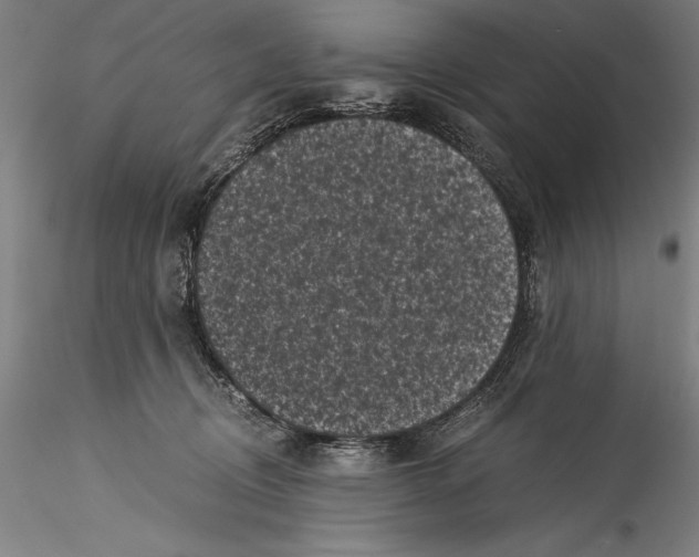 X0000115300370200911301519