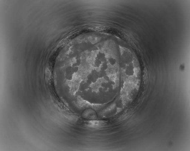 X0000115300371200911301519