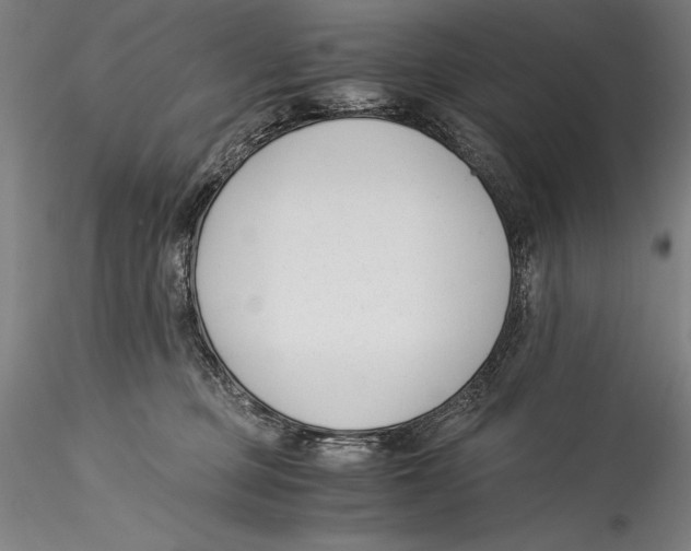 X0000115300373200911301519