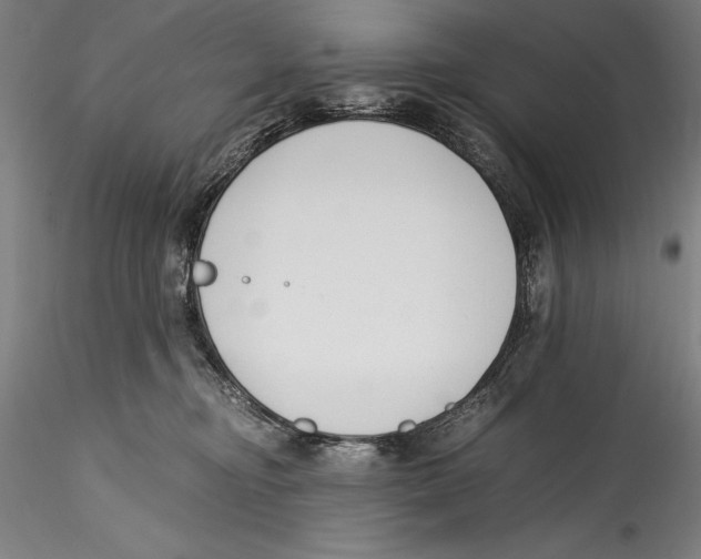 X0000115300374200911301519