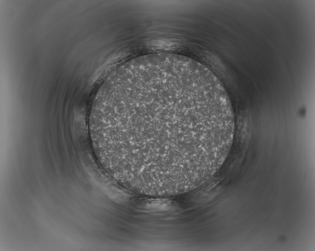 X0000115300377200911301519