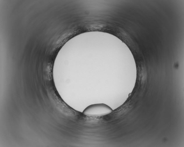 X0000115300378200911301519